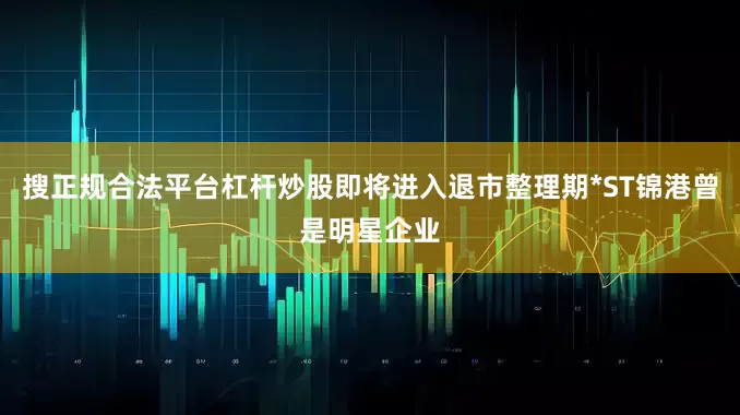 搜正规合法平台杠杆炒股即将进入退市整理期*ST锦港曾是明星企业