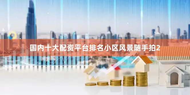 国内十大配资平台排名小区风景随手拍2