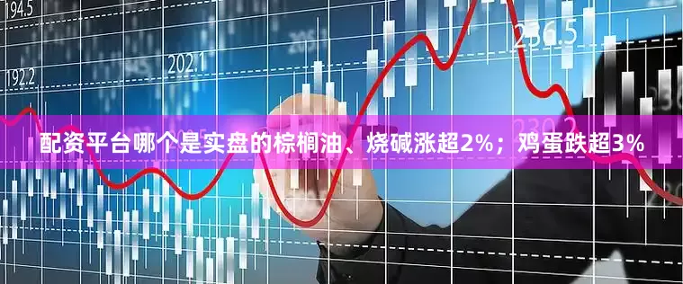 配资平台哪个是实盘的棕榈油、烧碱涨超2%；鸡蛋跌超3%