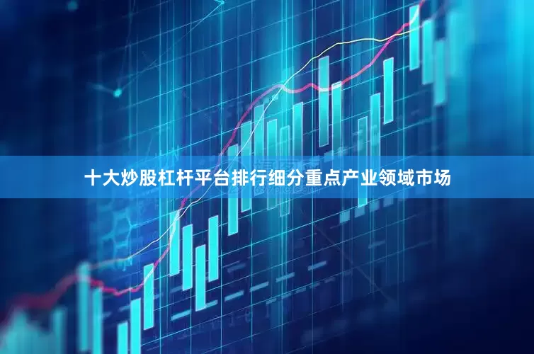 十大炒股杠杆平台排行细分重点产业领域市场